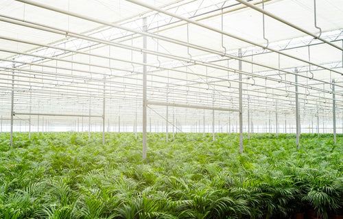 100% vers en de beste kwaliteit!