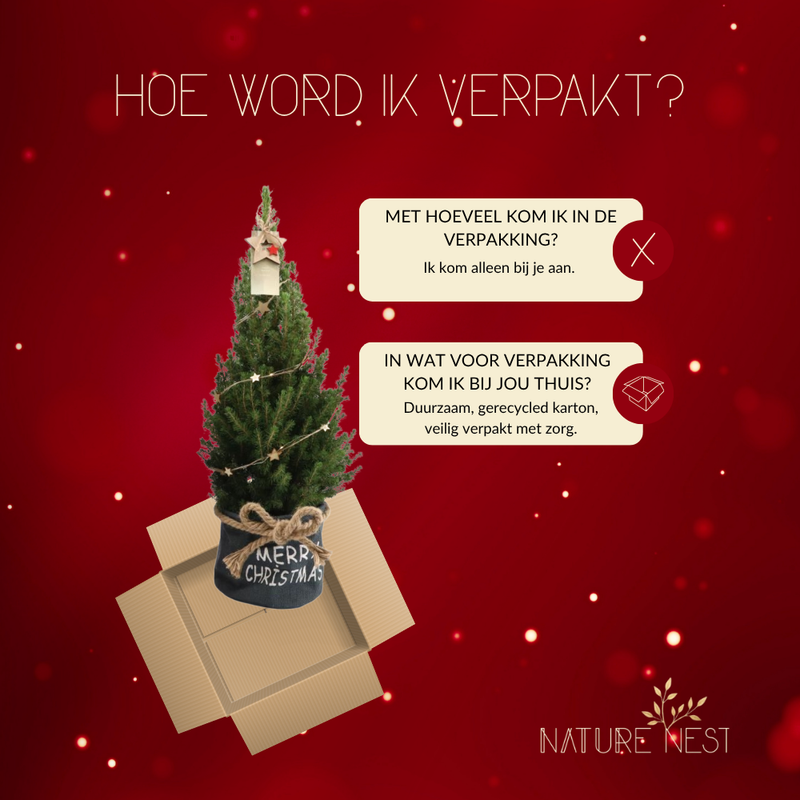 Kerstboom met verlichting 'Starlight' in Xmas Bag blauw | 19 cm Ø | 60 cm ↕