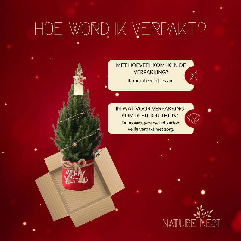 Kerstboom met verlichting 'Starlight' in Xmas Bag rood | 19 cm Ø | 60 cm ↕