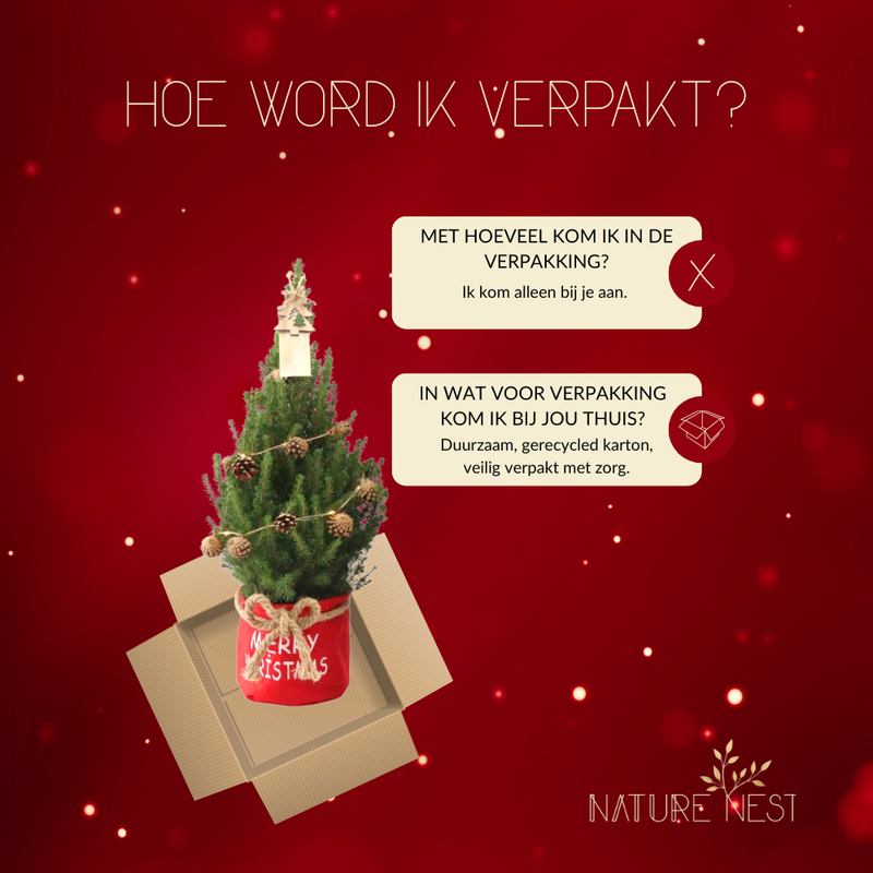 Kerstboom met verlichting 'Pineconelight' in Xmas Bag rood | 19 cm Ø | 60 cm ↕