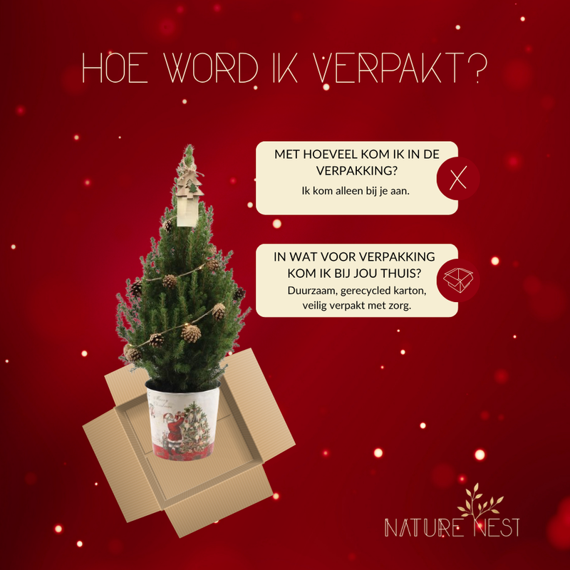 Kerstboom met verlichting 'Pineconelight' in Kerstman pot | 19 cm Ø | 60 cm ↕