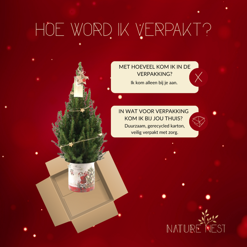 Kerstboom met verlichting 'Starlight' in Kerstman pot | 19 cm Ø | 60 cm ↕