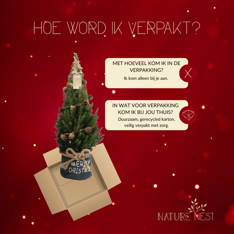 Kerstboom met verlichting 'Pineconelight' in Xmas Bag blauw | 19 cm Ø | 60 cm ↕