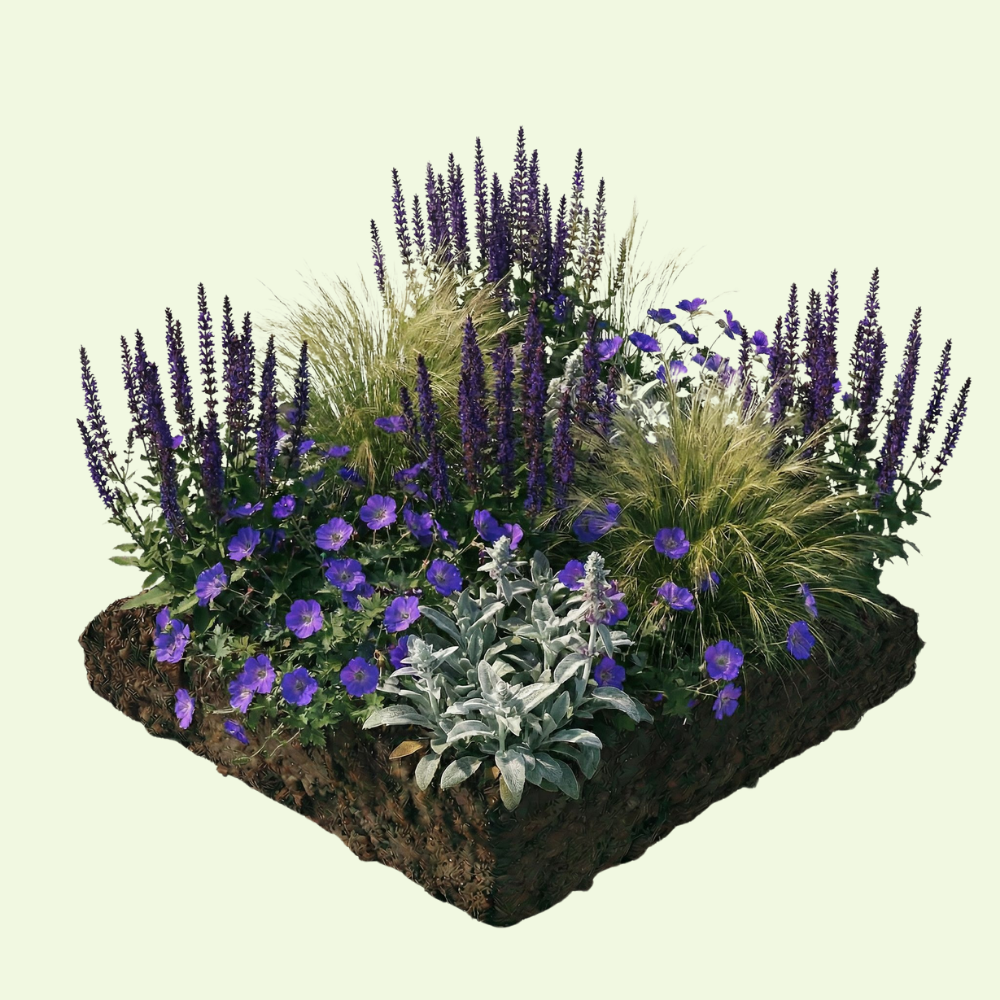 NatureNest Border Package Lila