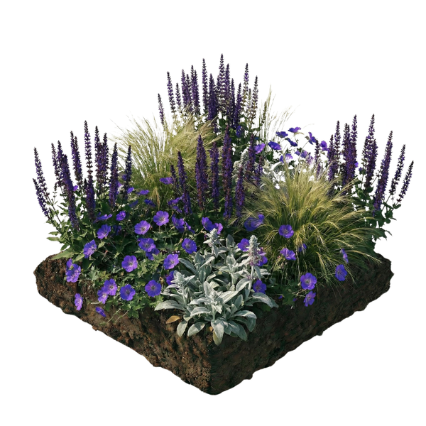 NatureNest Borderpakket Lila