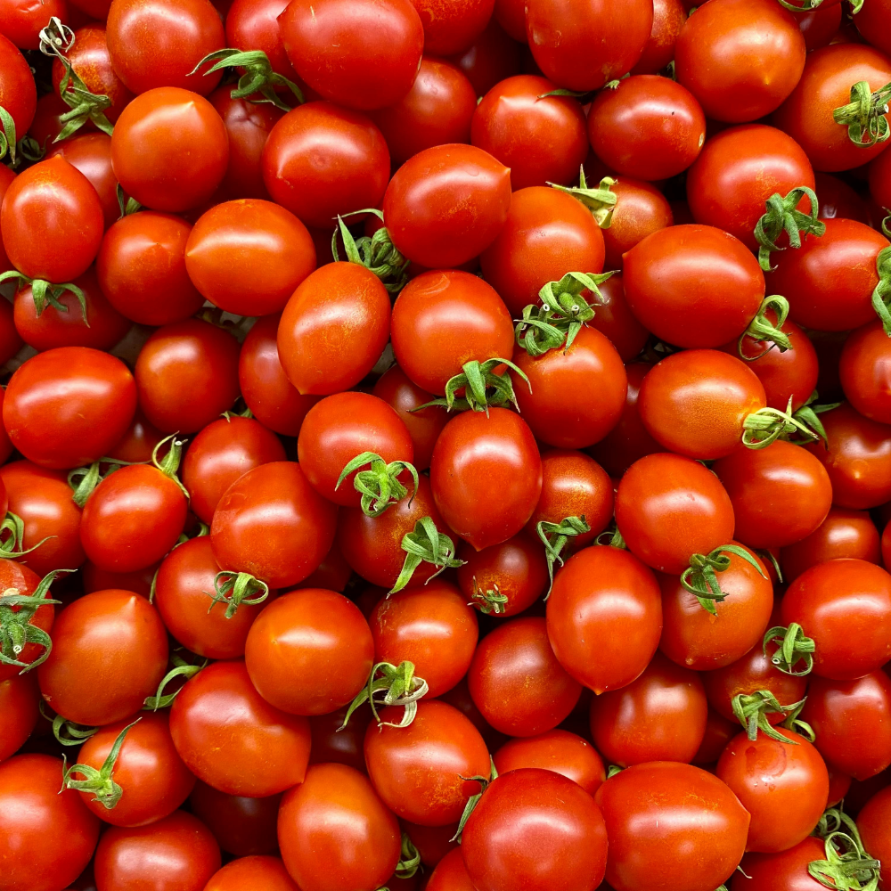 3 BIO Groente Planten 'Mediterrane Mix' Ø14 cm ↕40 cm