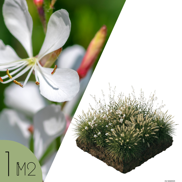 NatureNest Borderpakket Luna