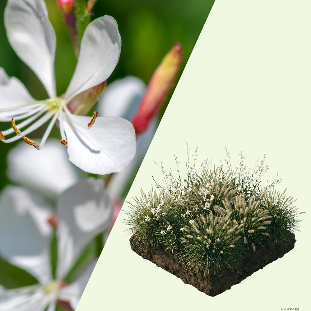 NatureNest Border Package Luna