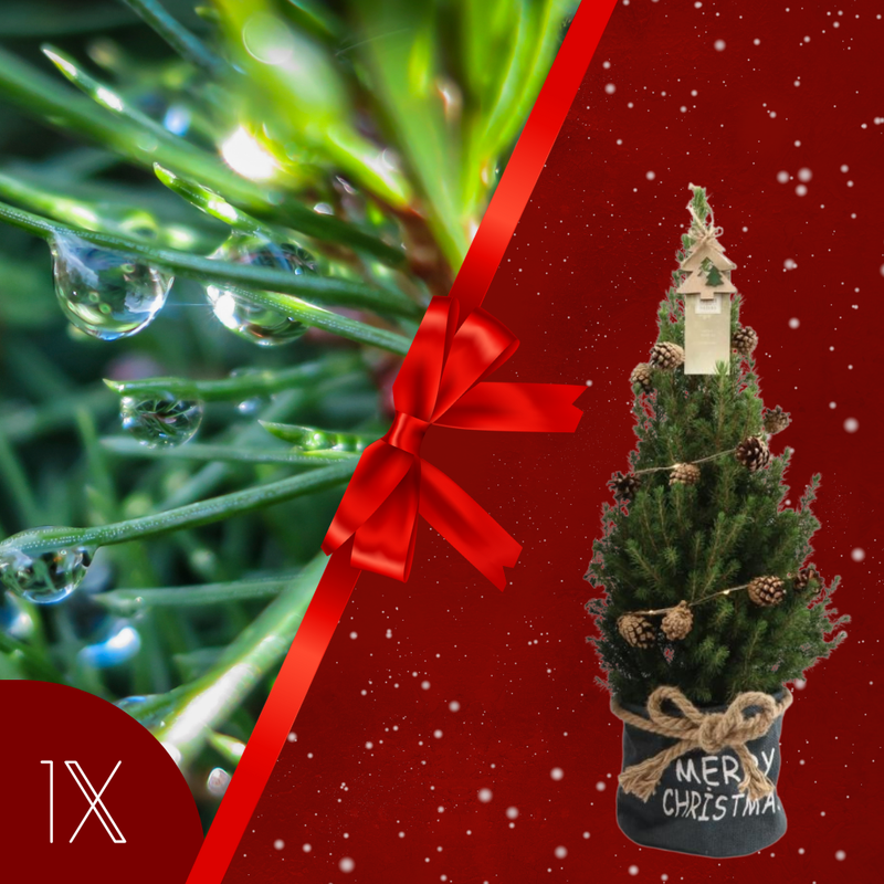 Kerstboom met verlichting 'Pineconelight' in Xmas Bag blauw | 19 cm Ø | 60 cm ↕