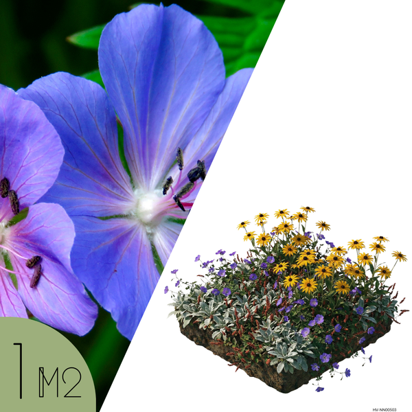 NatureNest Borderpakket Rosie