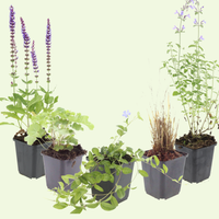 Onkruidremmende Bloemborder