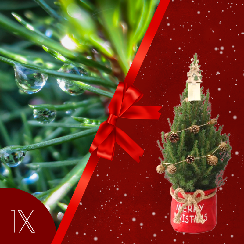 Kerstboom met verlichting 'Pineconelight' in Xmas Bag rood | 19 cm Ø | 60 cm ↕