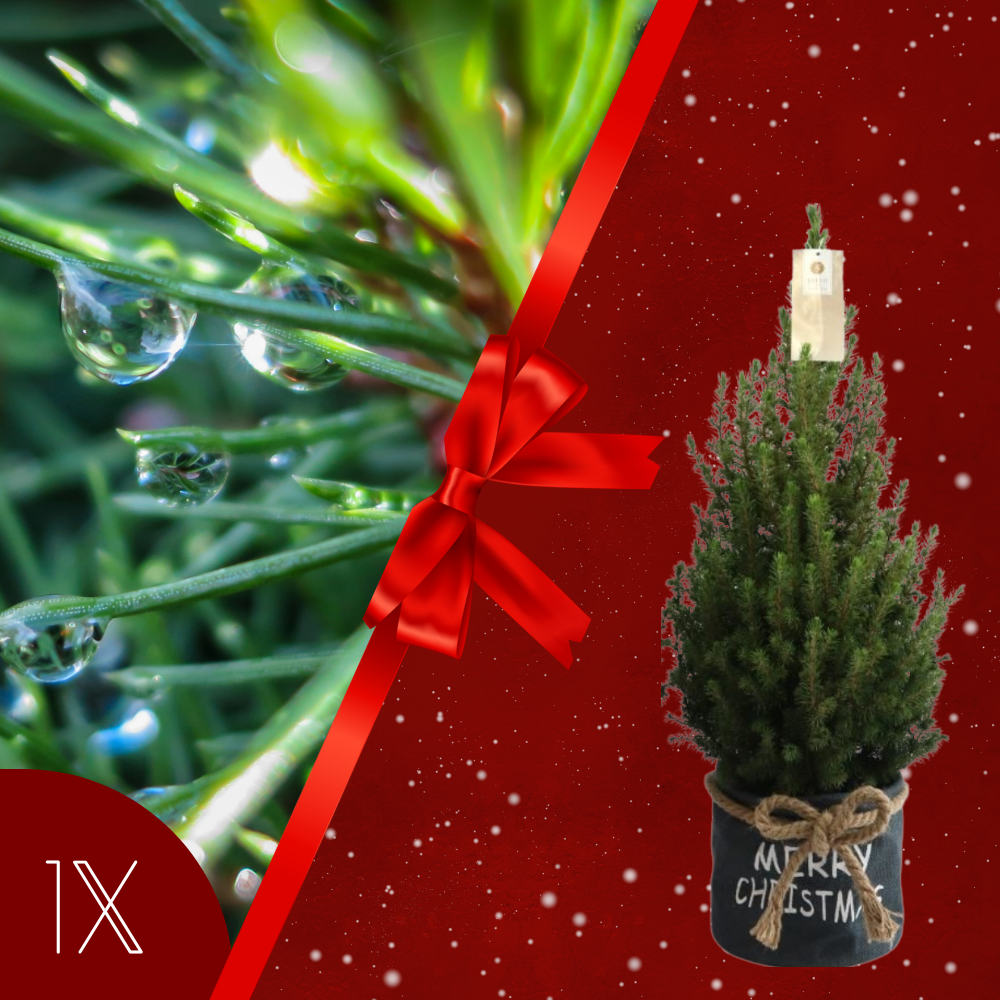 Kerstboom in Xmas Bag blauw | 19 cm Ø | 60 cm ↕