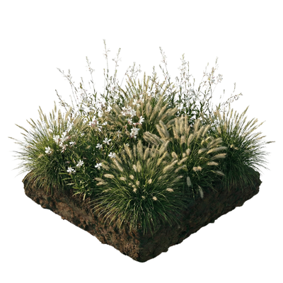 NatureNest Borderpakket Luna