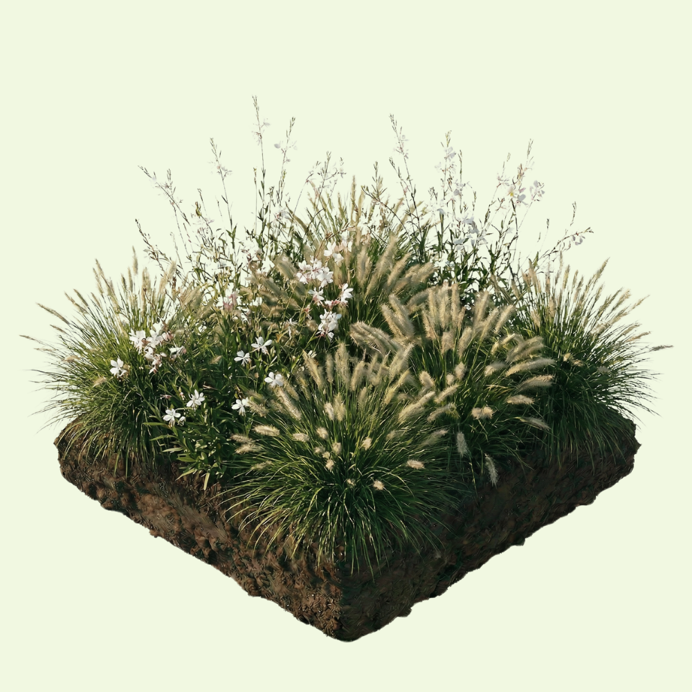 NatureNest Border Package Luna