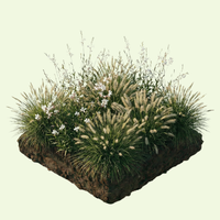 NatureNest Border Package Luna