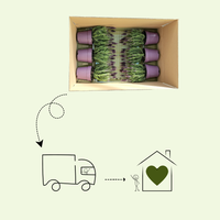 Dipladenia / Mandevilla (Mandevilla mix) Set van 3, bloeiende klimplanten