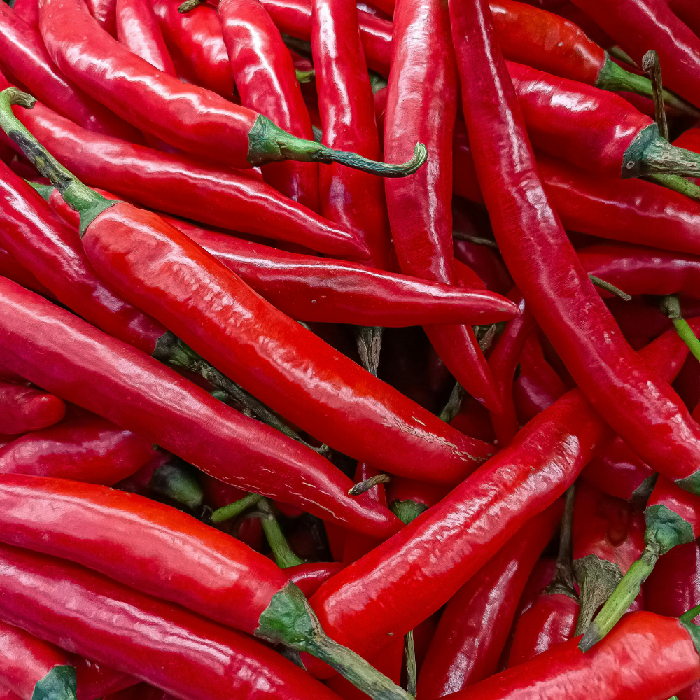 3 BIO Groente planten 'Pittig Trio' Ø14 cm ↕40 cm