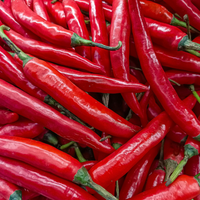 3 BIO Groente planten 'Pittig Trio' Ø14 cm ↕40 cm