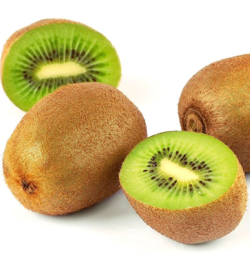 3x Kiwi Actinidia Deliciosa 'Jenny'