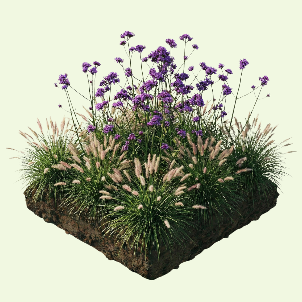 NatureNest Border Package Stella