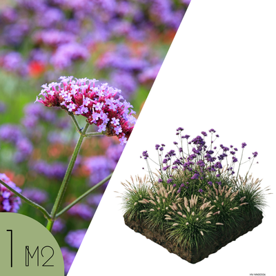 NatureNest Borderpakket Stella