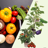 3 BIO groente planten 'Balkon Bistro'Ø14 cm ↕40 cm