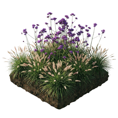 NatureNest Borderpakket Stella