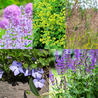 Onkruidremmende Bloemborder