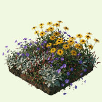 NatureNest Border Package Rosie