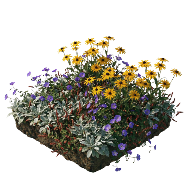 NatureNest Borderpakket Rosie