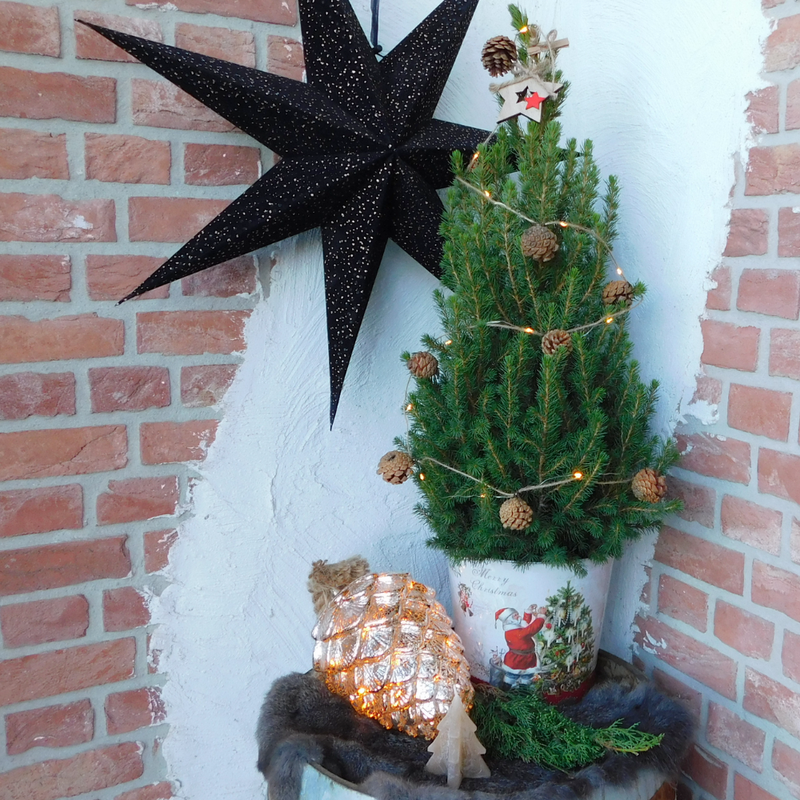 Kerstboom met verlichting 'Pineconelight' in Kerstman pot | 19 cm Ø | 60 cm ↕