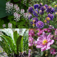 NatureNest Border Package Nora