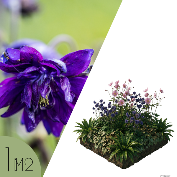 NatureNest Borderpakket Nora