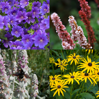 NatureNest Border Package Rosie