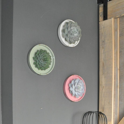 Echte Succulent Lila in witte keramiek schaal - Ø12-14 cm ↕5 cm - 1x Echeveria Lilacina - vetplant