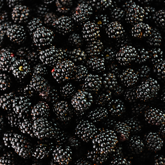 3 Bramenplanten | 100% Biologische Fruitplanten | Bramen | Tuinplanten