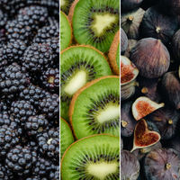 "Sweet Harvest Trio" Organic Fruit Plant Mix Set of 3 Different Varieties | 100% Organically Grown