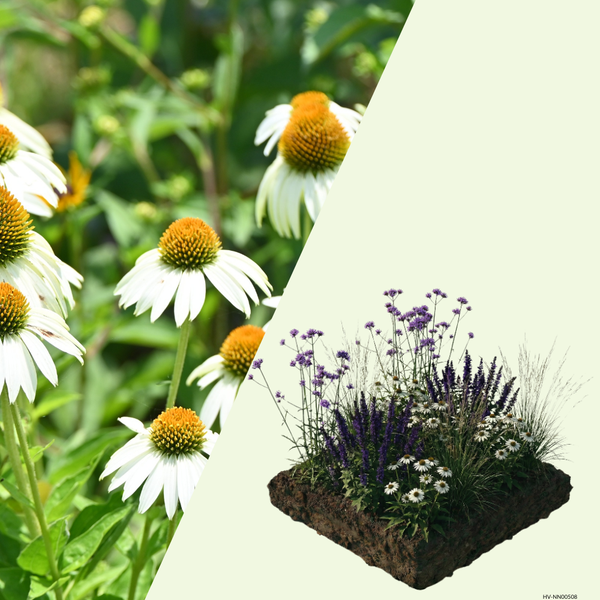 NatureNest Border Package Bianca