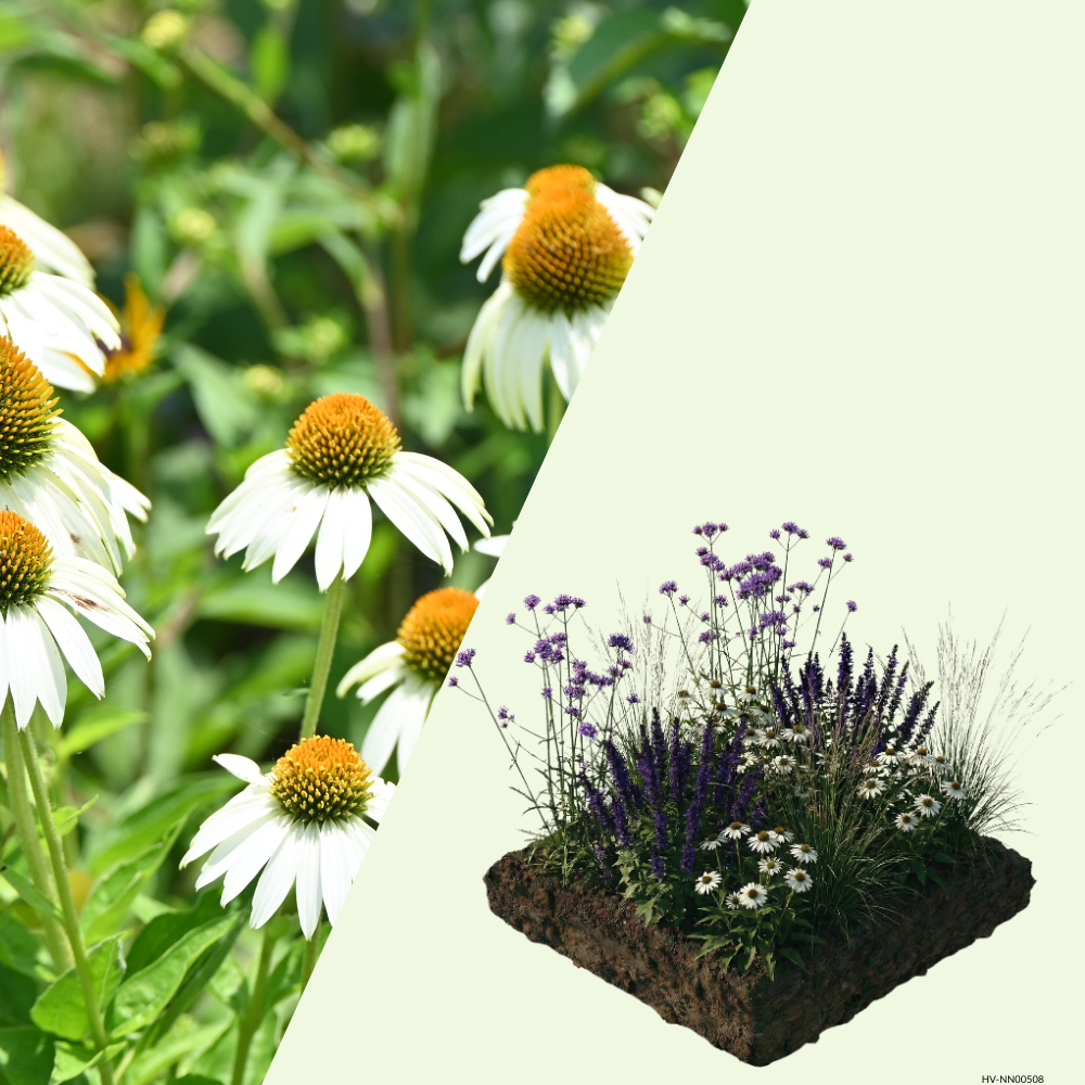 NatureNest Border Package Bianca