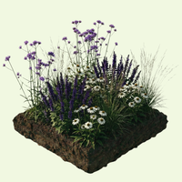 NatureNest Border Package Bianca