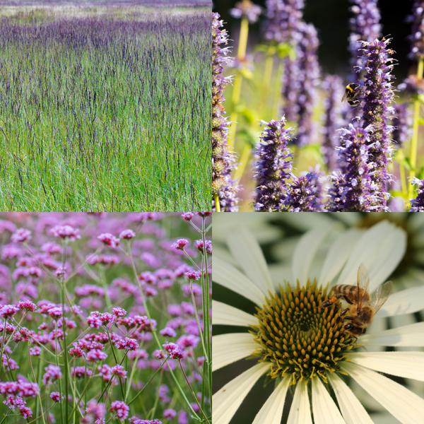 NatureNest Border Package Bianca