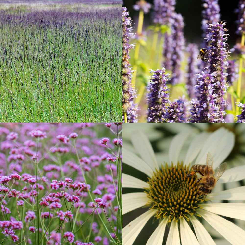 NatureNest Border Package Bianca