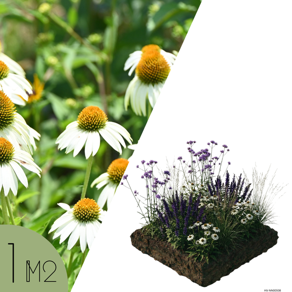 NatureNest Borderpakket Joy