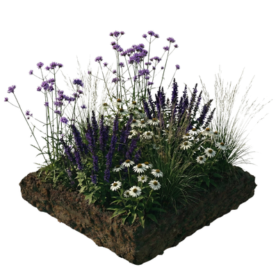 NatureNest Borderpakket Yara