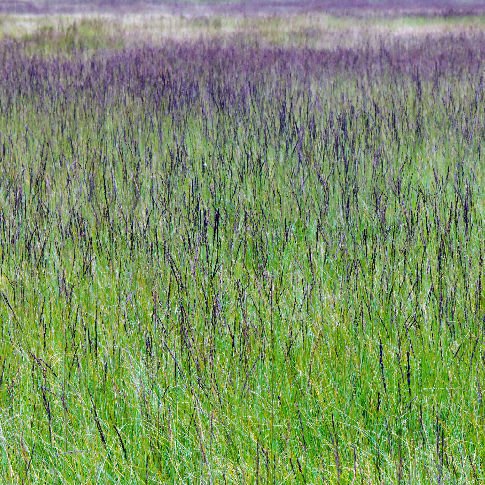 NatureNest Border Package Bianca