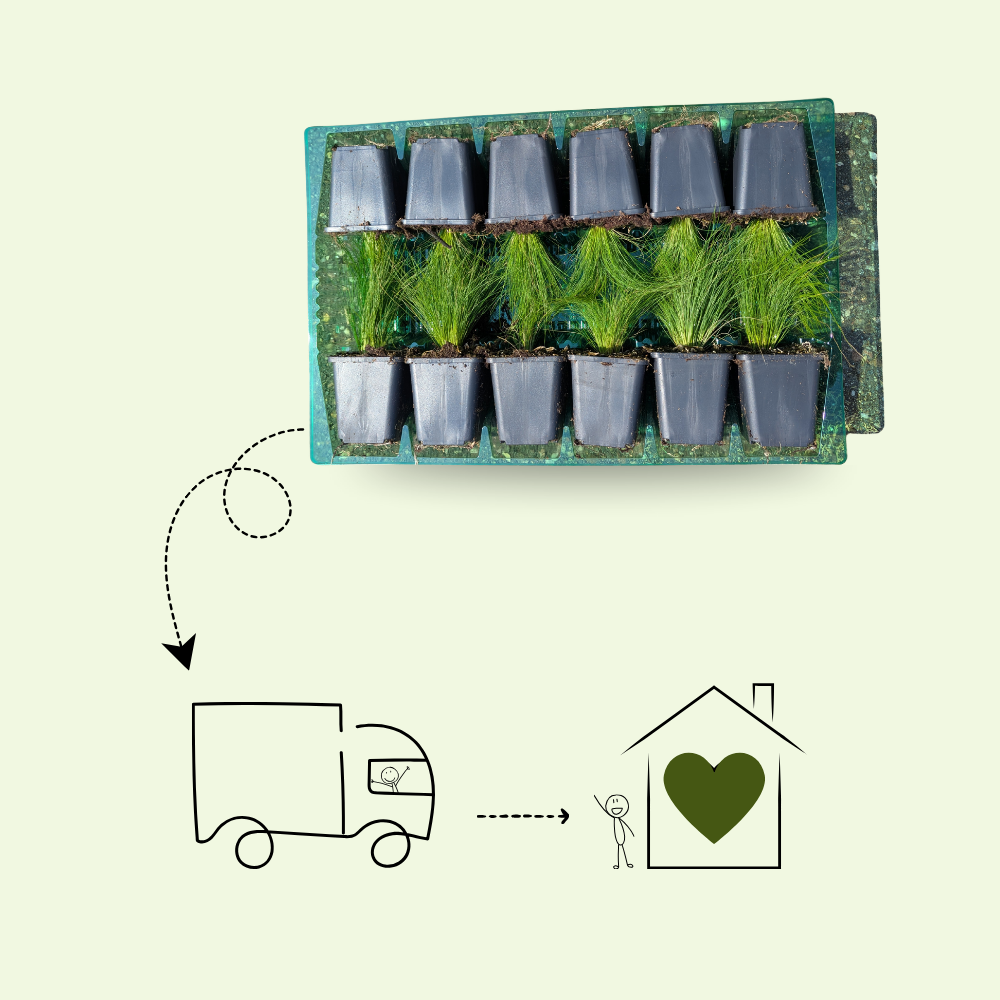 NatureNest Border Package Bianca