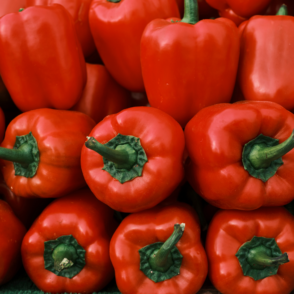 1 Snackpaprika plant rood Ø14 cm ↕40 cm