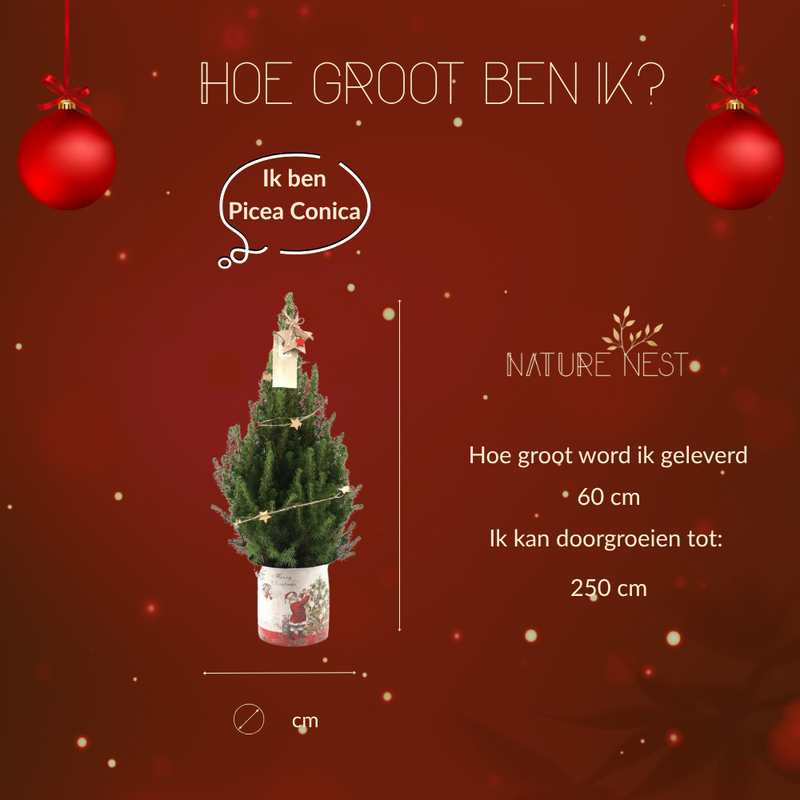 Kerstboom met verlichting 'Starlight' in Kerstman pot | 19 cm Ø | 60 cm ↕