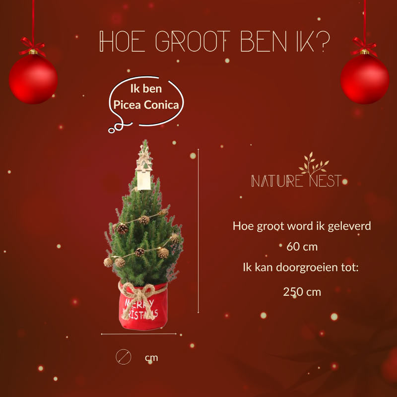 Kerstboom met verlichting 'Pineconelight' in Xmas Bag rood | 19 cm Ø | 60 cm ↕